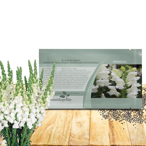 Outsidepride Snowflake Snapdragon Seeds - 5000 Pcs Annual Flower Seeds for Planting, Frost-Tolerant, Pollinator-Friendly Cool-Season Plant with Attractive Blooms for Cut Flower Arrangements