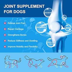   Dog-Vitamins-Powder-Probiotics-Digestive-Enzymes-for-Gut-Health-Glucosamine-Chondroitin-Omega-3-Complete-Supplement-for-Homemade-Dog-Food-Joint-Skin-Immune-Support-Dog-Allergy-Relief
