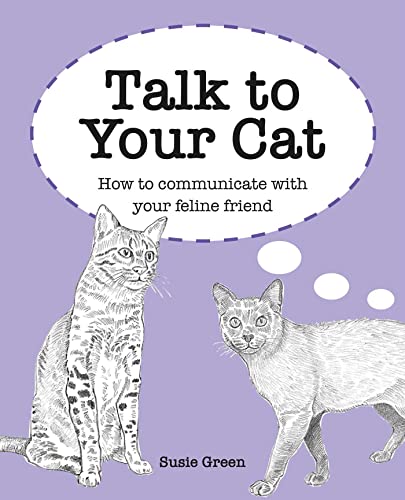 Talk To Your Cat: How To Communicate With Your Feline Friend