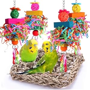 Parakeet Toys Bird Toys Conure Toys Birdcage Stands Bird Foraging Wall Seagrass Woven Hammock Swing Mat for Lovebirds,Cockatiel,Budgie and Other Small to Middle Birds
