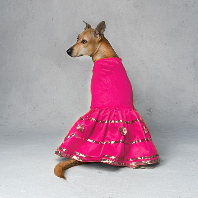 That Dog In Tuxedo Dog Wedding/Festive - Diwali Dog Dress/Frock/Costume Clothes for Dogs (24 - M-L, Pink) (B0DJF7X9G4) Amazon Price History, Amazon Price Tracker