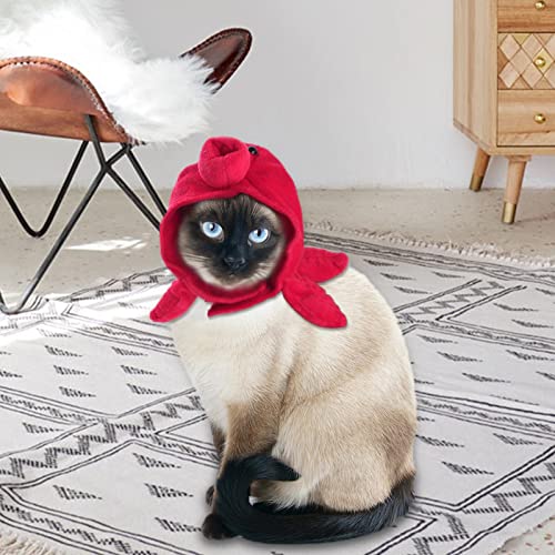 gazechimp Chapéu de e gato chapéu roupa de roupa de animal bonés para festa de gatinho de Halloween