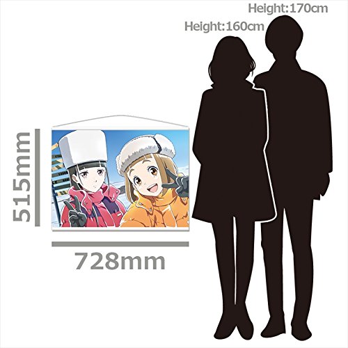 Amazon.co.jp: 宇宙よりも遠い場所 B2タペストリー A 728×515mm : おもちゃ