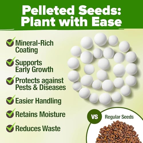 HOME GROWN Organic Herb Seeds Variety Pack - Non GMO, Heirloom 2,500+ High-Germinating Heirloom Seeds for Planting Indoor Outdoor Spring Herb Garden Hydroponics Garden Seeds, Basil Cilantro & More - Image 6