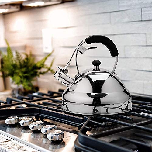 Bouilloire pour une cuisson plus rapide théière en acier inoxydable sifflet