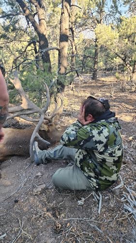 406" Bull in NV "the Cardinal Bull"