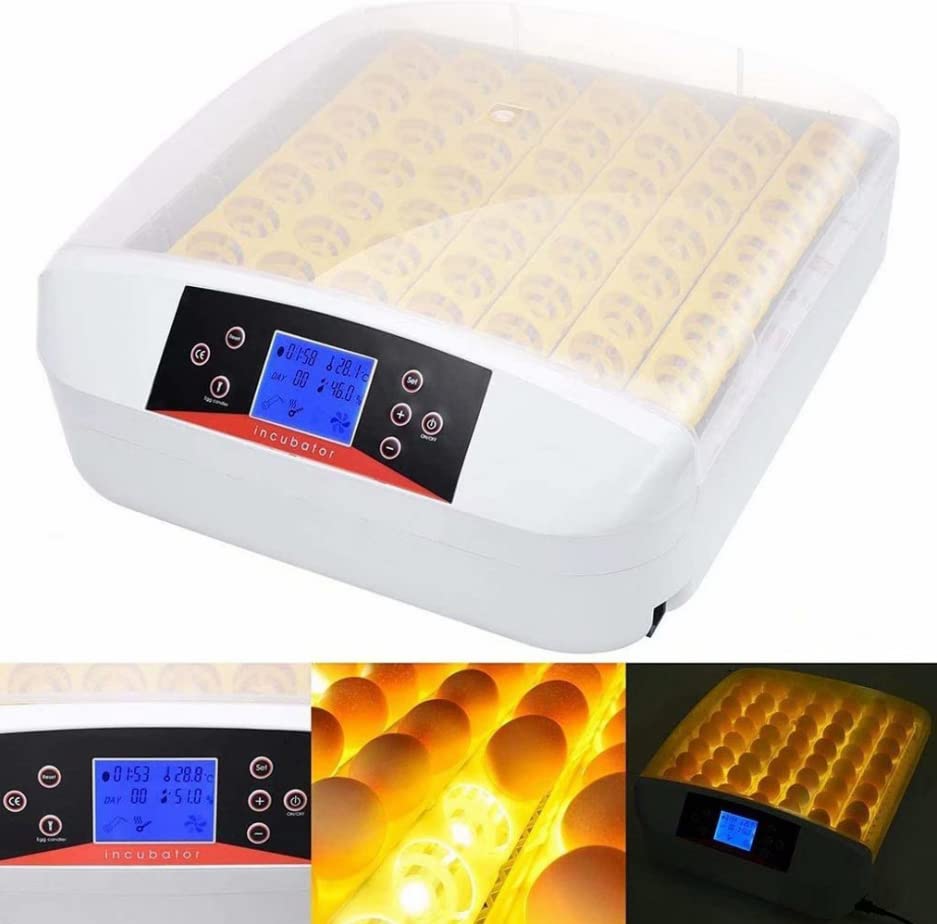Incubateur d'œufs automatique pour éviter les pertes de couvée de poule