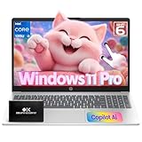 HP 2025 15.6" Touchscreen Laptop, 13th Gen Intel Core i3-1315U (Up to 4.5GHz), 32GB RAM, 1TB SSD, Wi-Fi 6, BT 5.3, Windows 11 Pro Business Laptops Computer, w/Accessories