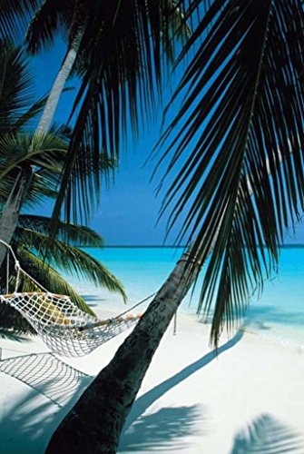 Pyramid Palm View Hammock Poster Print