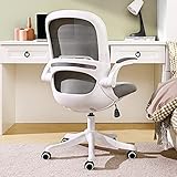 Home Office Desk Chair Ergonomic Computer Chair with Flip-Up Armrests Lumbar Support, Eggshell Chair, Small Cute Task Chair, Pink Modern Chair, Mid Back Mesh Chair, 250LBS Load-Bearing, Grey