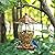 REALEAD Bird Feeder, Wild Bird Feeders for Outside,Metal and Glass Bird Feeder with 3 lbs Seed Capacity, Bird Feeders for Outdoor Hanging for Garden Yard
