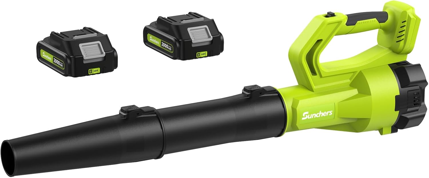Leaf Blower Cordless with 2 Batteries