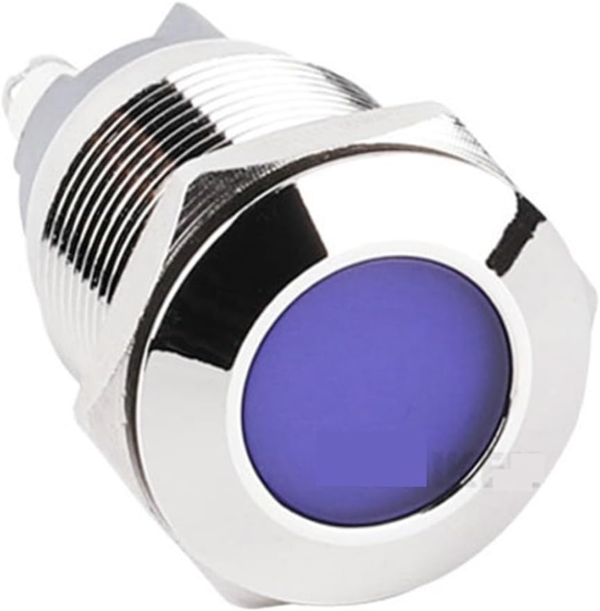 1PCS 19mm Flat Head Metal LED Light 3V-220V Industrial Indicator with 2Pin Screw Terminal Pilot Lamp(Flat Head Blue,12V-24V)