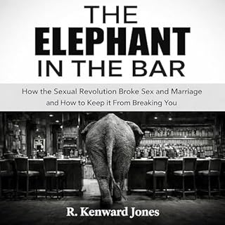 The Elephant in the Bar cover art