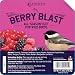 Heath Outdoor Products DD-15 Berry Blast Suet Cake, Case of 12