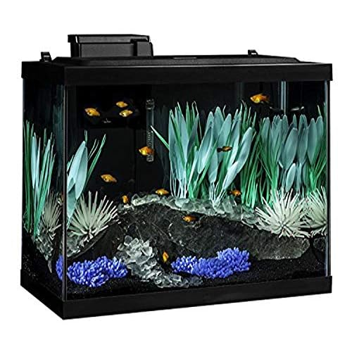 Tetra ColorFusion Aquarium 20 Gallon Fish Tank Kit, Includes LED Lighting and Decor