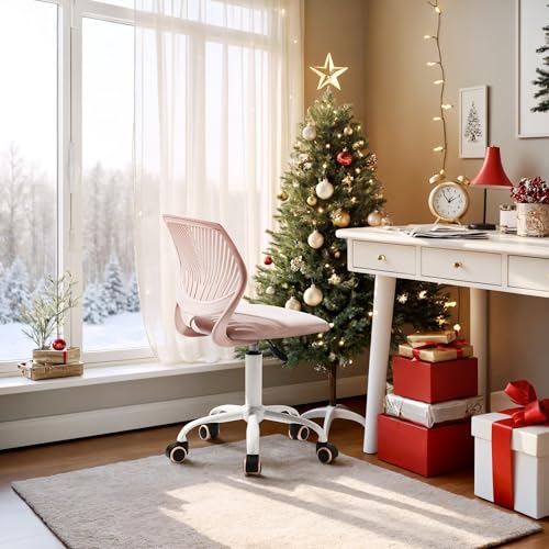best ergonomic chair owner experiences product image