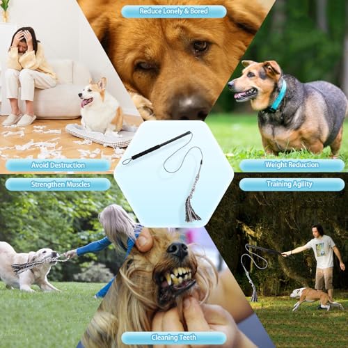Flirt Pole Für Welpen Hunde,Interaktive Jagd und Zerrspielzeug Im Freien Hundespielzeug,Reizangel Chase Spielzeug mit Seil,Ianglebig Stick Pole für Hunde im Freien Agilität Übung & Hundetraining