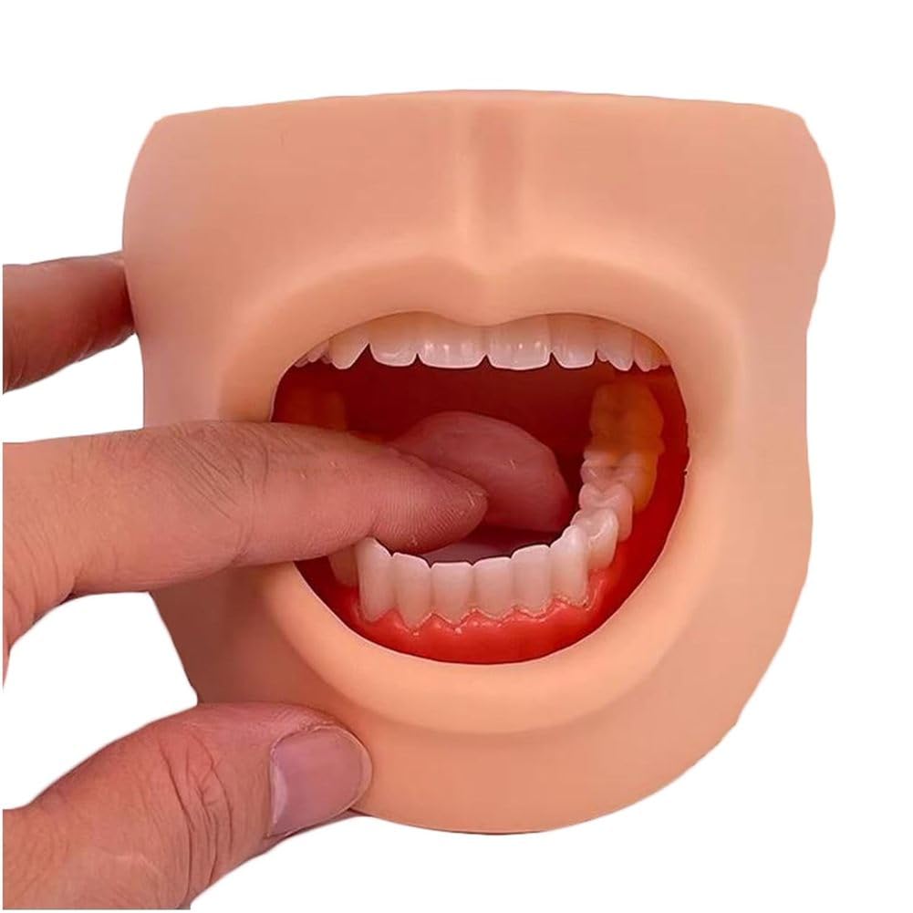 Modello di cura dentale per denti e lingua, strumento didattico per la salute dentale delle guance, modello dimostrativo per l'educazione all'igiene orale