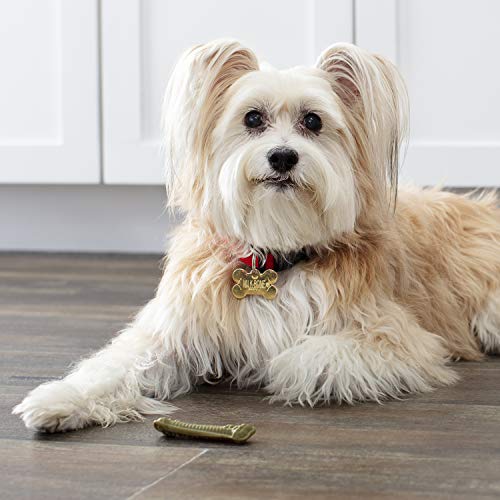 Milk-Bone Fresh Breath Brushing Chews, 48 Mini Daily Dental Dog Treats #TOP4