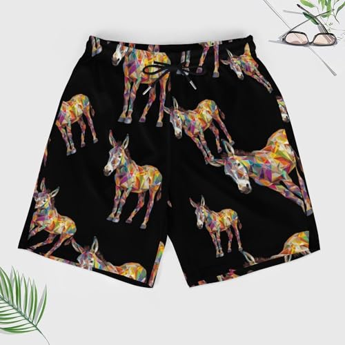 Donkey Geometric Graphic Animal Art Beach Shorts for Men Swim Trunks Quick Dry Swim Shorts with Compression Liner Pocket3