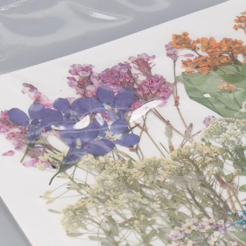 110 piezas flores prensadas secas para manualidades miniatura 4