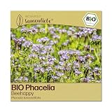 Samenliebe BIO Phacelia Samen | Beehappy - Gründünger & Bienenweide - samenfestes BIO Saatgut