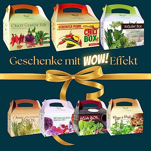 Magic of Nature Kräuter Box CLASSIC Anzuchtset zum Selberzüchten oder zum Verschenken - das perfekte Geschenk für jeden Anlass
