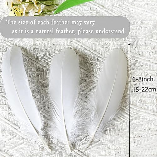 100pcs White Goose Feathers 6-8 Inch for Crafts Angel Wings Wedding Party Decorations Clothing Hats Accessories Dream Catchers