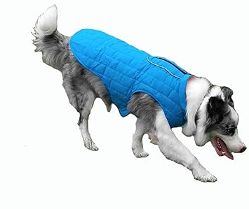 doberman winter coat amazon