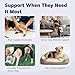 Pawfun Dog Knee Brace for Torn ACL Hind Leg- Dog Leg Support Brace with Metal Stabilizers for Torn CCL, Limping, Luxating Patella, Ligament Injuries, Hip Dysplasia& Arthritis,XXL&Vest5
