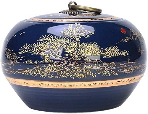 Volte a urna thumbnail classifica