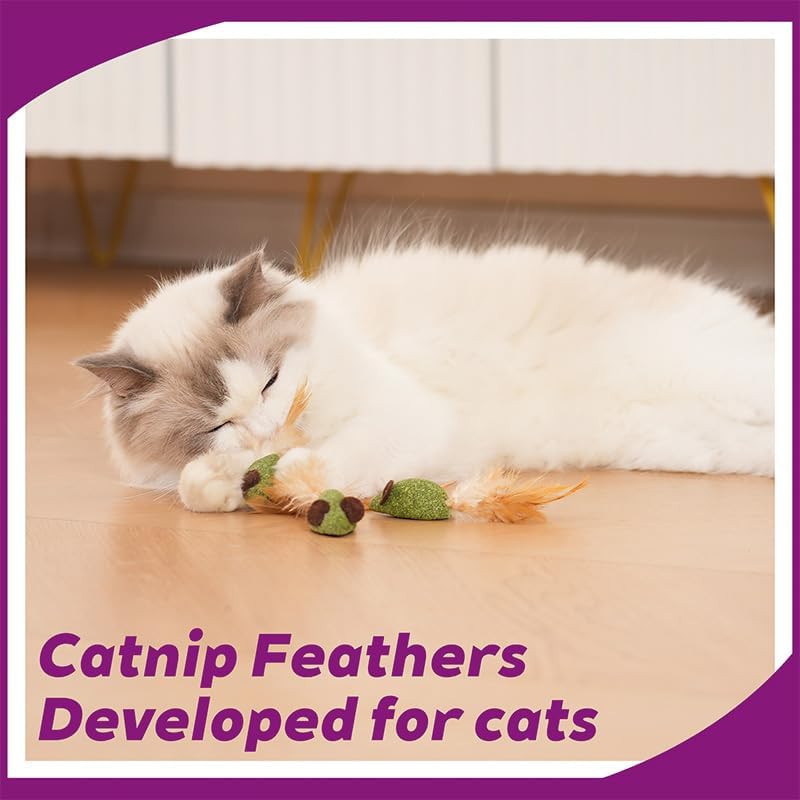 10 Pack Mouse Catnip Toy with Feather,Catnip Ball Interactive Catnip Mice for Chasing, Hunting, Exercising and Cleaning Teeth