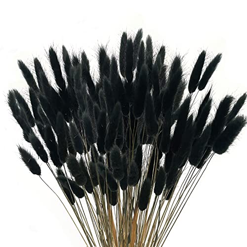 Xhxstore 120Pcs Black Dried Bunny Tails Flowers Mini Pampas Grass Natural Lagurus Ovatus Dried Floral Arrangement Dry Flowers With Stems For Boho Home Wedding Diy Craft Party Cake Decoration (16") #TOP6