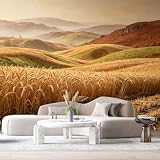 Murales da parete di dimensioni personalizzate Campo di grano Paesaggio Casale Pittura ad olio Colline Dorate Raccolto illuminato dal sole SelfAdhesiveWall Tessuto Carta da parati rimovibile