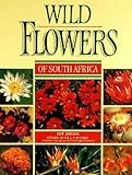 Wild Flowers of South Africa