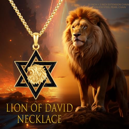 Star of David Necklace 925 Sterling Silver Star of David Pendant Animal/Tree of Life Jewish Jewelry for Men Women2