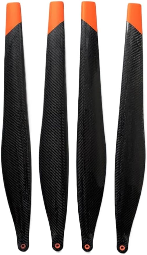 アガベ　オアハカ　ワイルド　現地球株　バンド幅　強棘 アガベ オアハカ ワイルド 現地球株 バンド幅 強棘