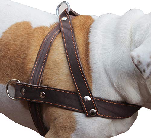 Brown Leather Dog Pulling Walking Harness Large. 31"-35" Chest, 1.5" Wide Straps