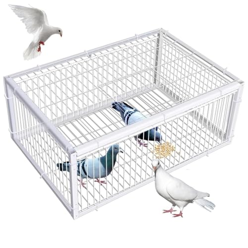 ケージ 鳩」の人気商品一覧 | 安い商品を通販サイトから探す - 価格.com