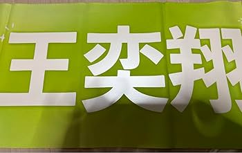 Amazon.co.jp: &TEAM ニコラス スローガン NICHOLAS : おもちゃ