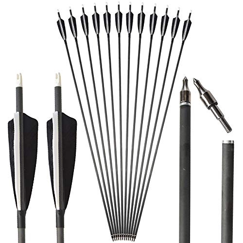 Best Compound Bow Arrows 34 Inch 2024 Where to Buy?