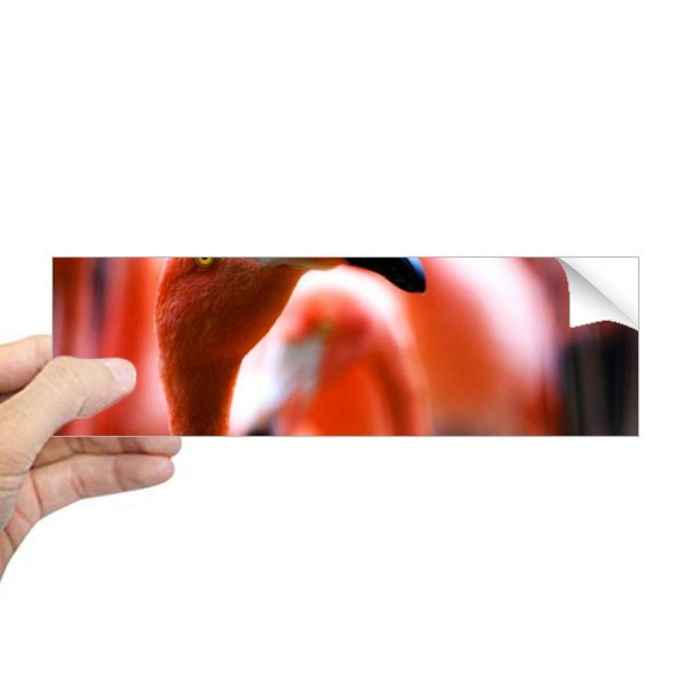 Autocollant rectangulaire flamant rose pour carnet et décoration de fenêtre