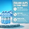 Sant'Anna Frizzante Sparkling Natural Mineral Water, 16.9 Fl Oz (24-Pack) | Pure Italian Alps Mountain-Fresh Drinking Water | Natural Functional Drink | Sodium-Free Mineral in BPA-Free Bottles #3