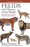 Felids and Hyenas of the World: Wildcats, Panthers, Lynx, Pumas, Ocelots, Caracals, and Relatives - Jos R. Castell Vorwort: Alexander Sliwa, Andrew C. Kitchener 