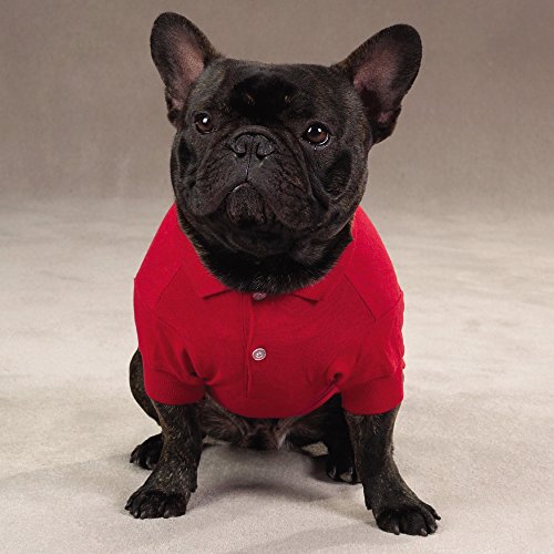 Zack & Zoey Cotton Polo Shirt For Dogs, 24" X-Large, Tomato Red #TOP2