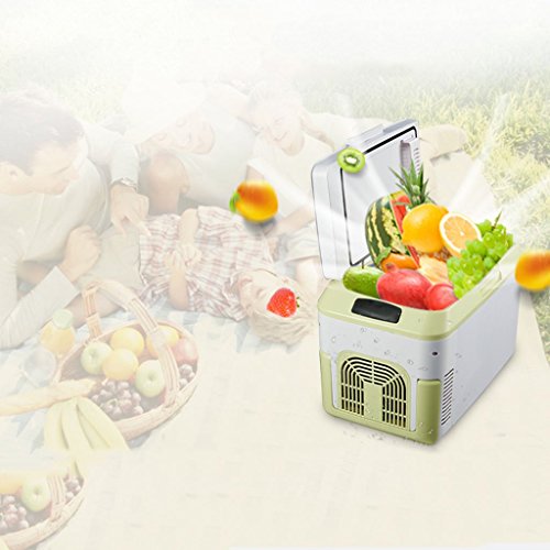 Preisvergleich Produktbild Autokühlschrank-Autokühlschrank 12L Auto und Heim Mini-Kühlschrank Heim Kleiner Kühlschrank Kühlschrank