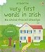 Very First Words in Irish (Usborne First Words Board Books)