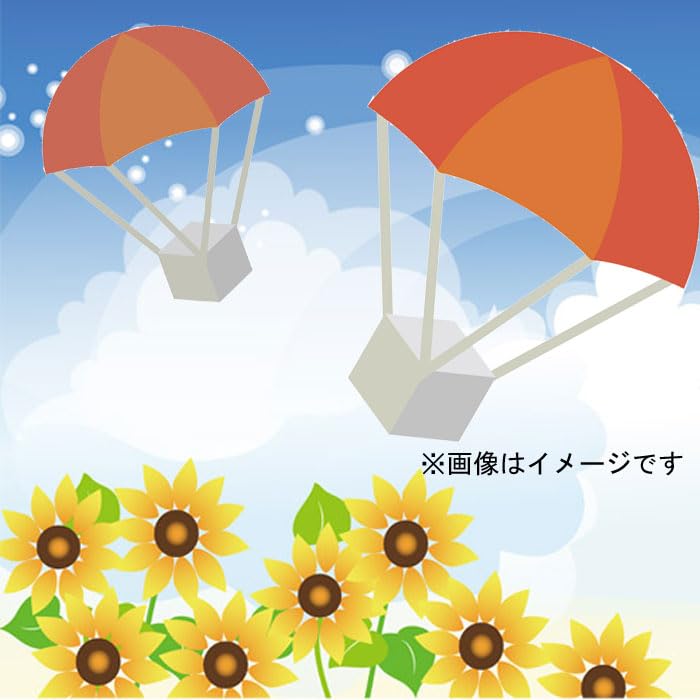Amazon | 昼用・パラシュート系花火 打上げ花火 (2傘2個