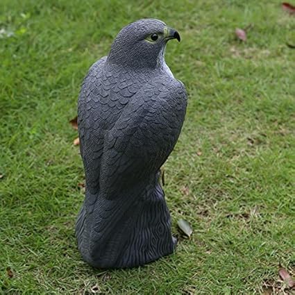 Trendy Retail Falcon Decoy Garden Bird Rodent Deter Scarer Weed Pest Control Scarecrow